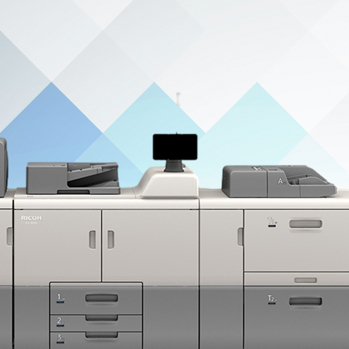 Slide Down Duplicate 4